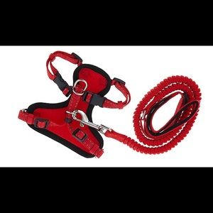 NEW Cat & Harness Leash Set! 12-16 inch girth